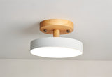 Boom Ceiling Light
