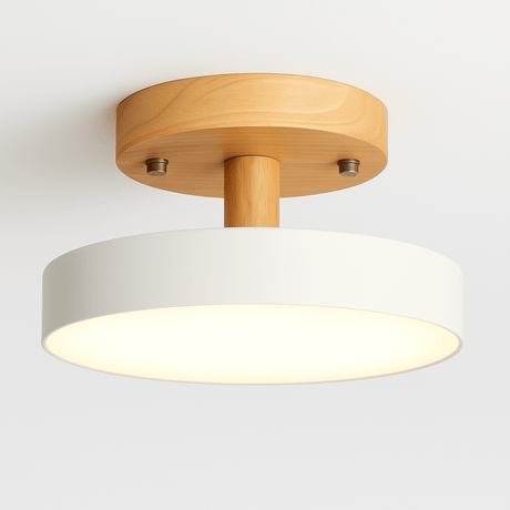 Boom Ceiling Light