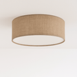 Asnen Ceiling Light