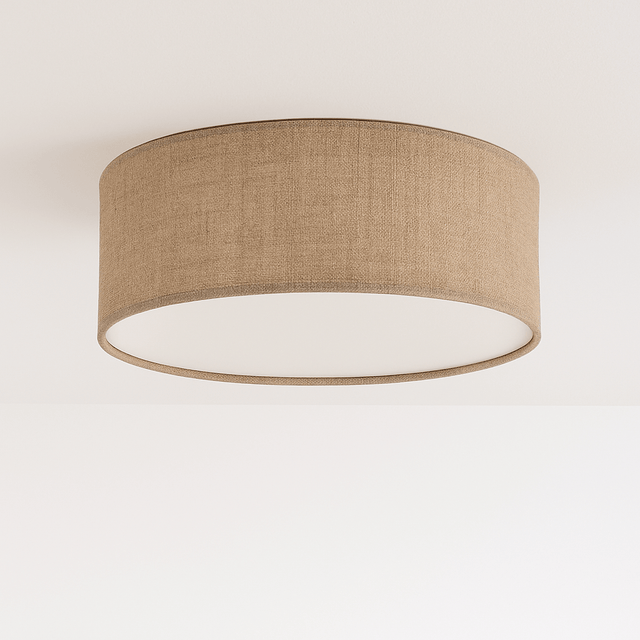 Asnen Ceiling Light