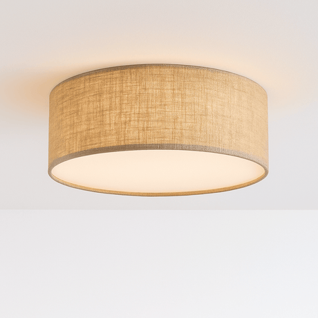 Asnen Ceiling Light