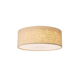 Asnen Ceiling Light