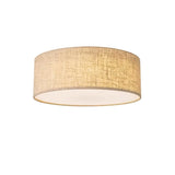 Asnen Ceiling Light