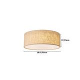 Asnen Ceiling Light