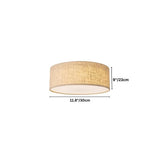 Asnen Ceiling Light