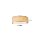 Asnen Ceiling Light