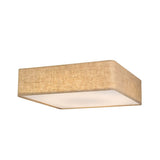 Asnen Ceiling Light