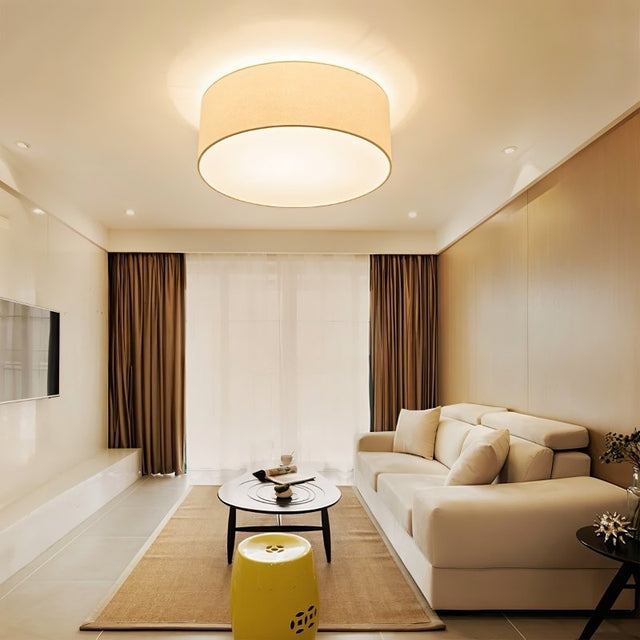 Asnen Ceiling Light