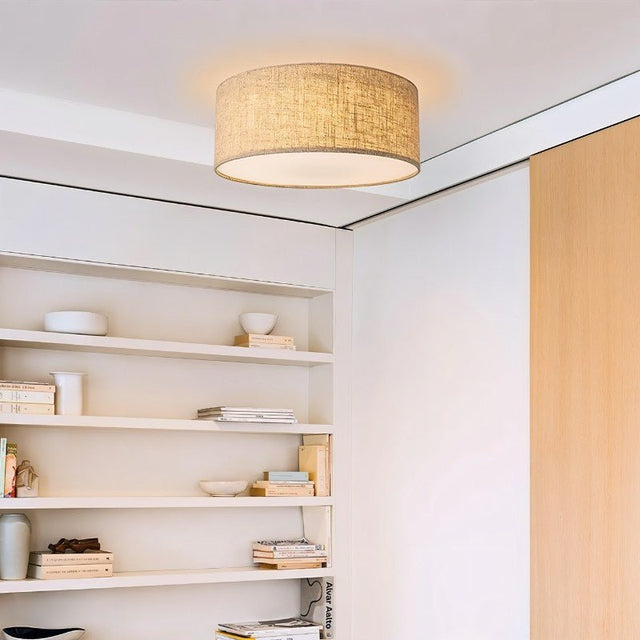 Asnen Ceiling Light