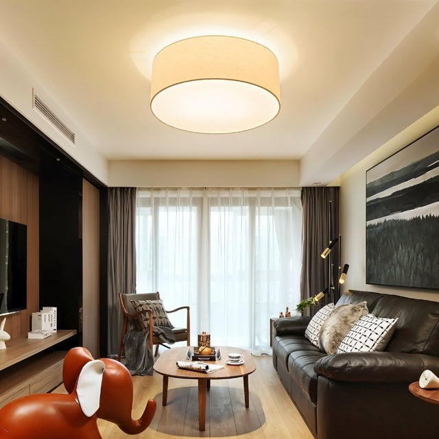 Asnen Ceiling Light