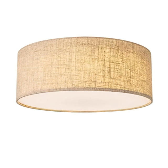 Asnen Ceiling Light