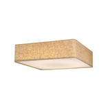 Asnen Ceiling Light