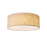 Asnen Ceiling Light