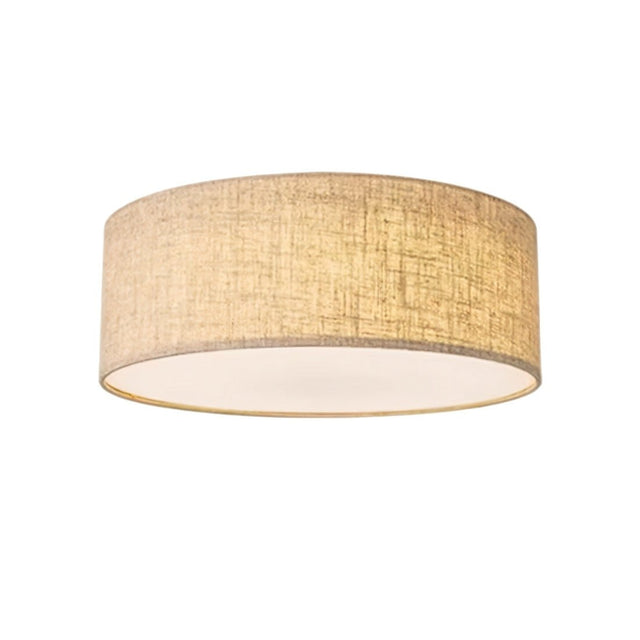 Asnen Ceiling Light