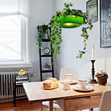 Zell Pendant Light