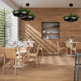Zell Pendant Light