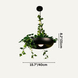 Zell Pendant Light
