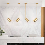 Schist Ceiling Light