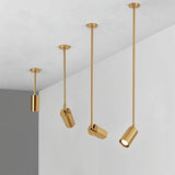Schist Ceiling Light