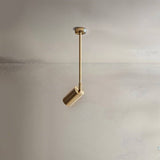 Schist Ceiling Light