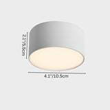 Genner Ceiling Light