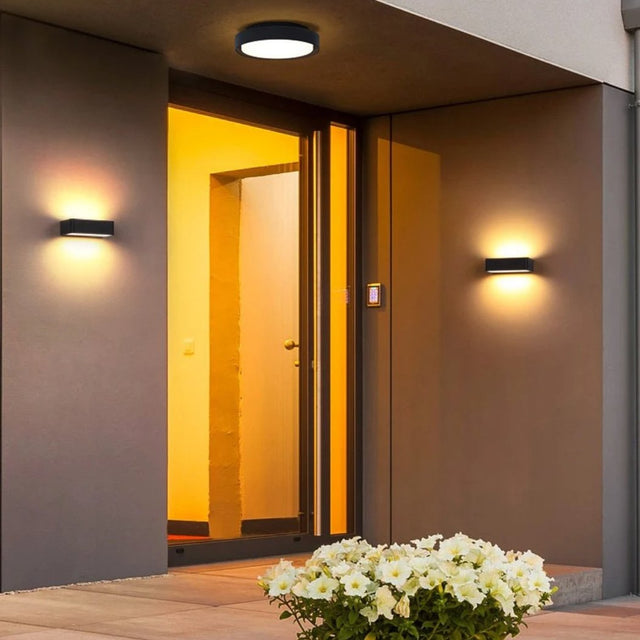 Orbis Surface Mount Light