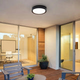 Orbis Surface Mount Light