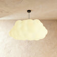 Matte Pendant Light