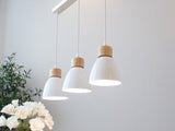 Solskin Pendant Light - White- 3 Heads- Rectangle - Level Decor