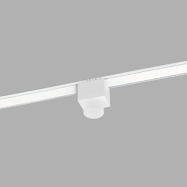 Ifs Track Light