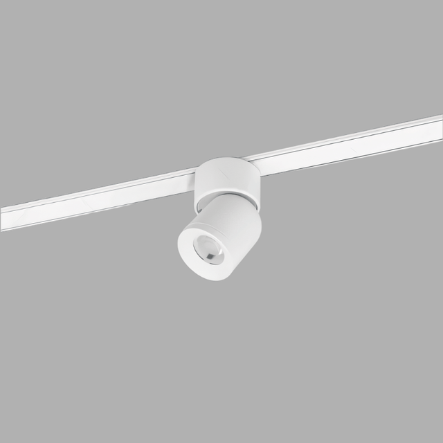 Ifs Track Light