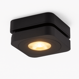 Malachite Downlight