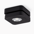 Malachite Downlight
