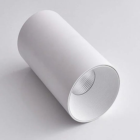 Wilhelm Downlight