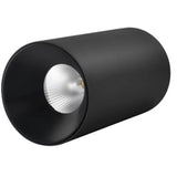 Wilhelm Downlight