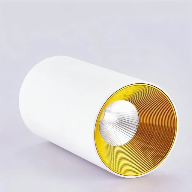 Dedus Downlight