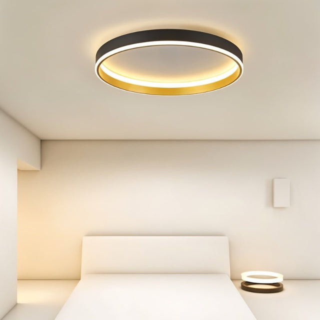 Hitch Ceiling Light