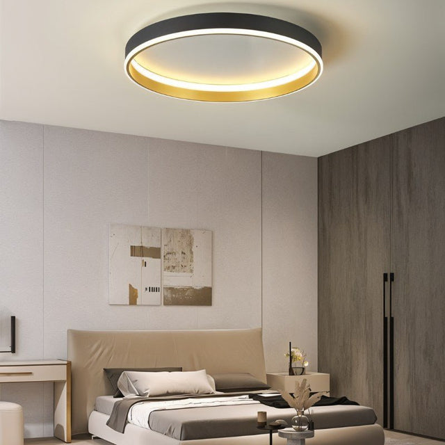 Hitch Ceiling Light