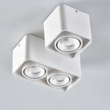 Tellervo Downlight