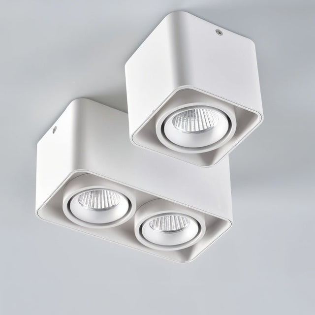 Tellervo Downlight