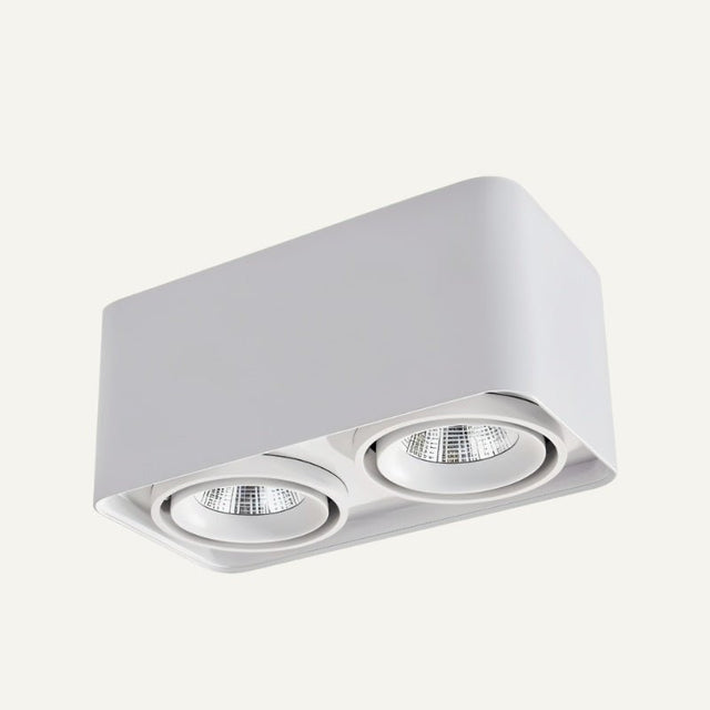 Tellervo Downlight