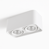 Tellervo Downlight