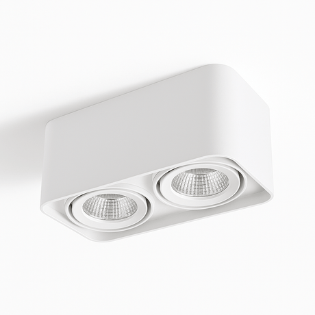Tellervo Downlight
