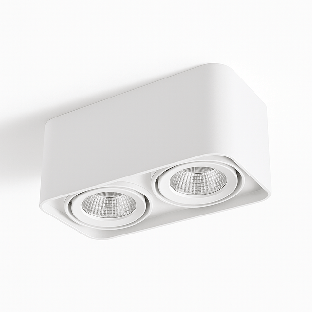 Tellervo Downlight