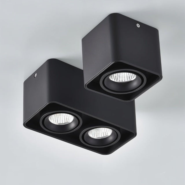 Tellervo Downlight
