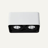 Tellervo Downlight