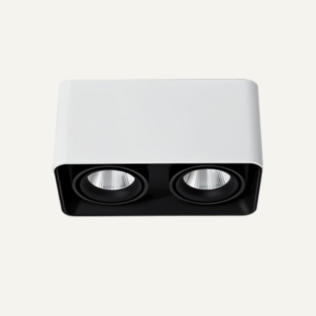 Tellervo Downlight