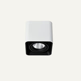 Tellervo Downlight