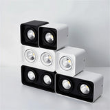 Tellervo Downlight