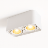 Tellervo Downlight